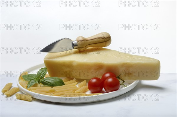 A piece of Parmesan cheese with cheese knife, pasta and tomatoes, Italy, Europe