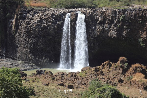 Ahamra region, the Blue Nile waterfall, in the highlands of Abyssinia, Blue Nile, Tis Issat