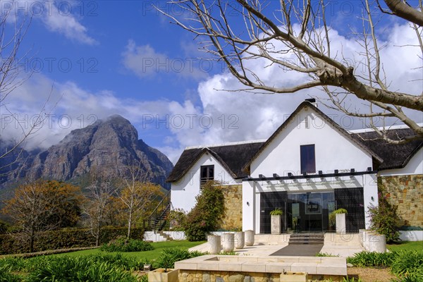 Oldenburg Wine Estate, Oldenburg Vineyards, Banghoek, Stellenbosch, Western Cape, South Africa,