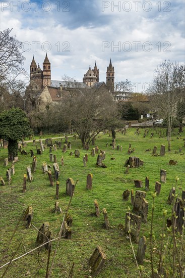 Jewish cemetery Heiliger Sand and St Peter's Cathedral, Kaiserdom, Worms Cathedral, Worms,