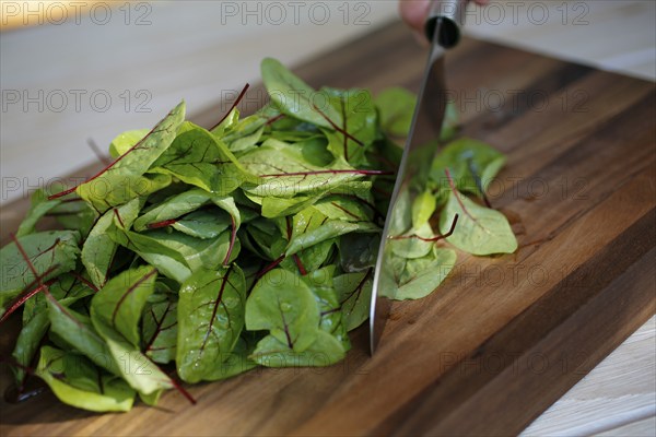 Southern German cuisine, preparation of sorrel soup with char, blood sorrel (Rumex sanguineus),