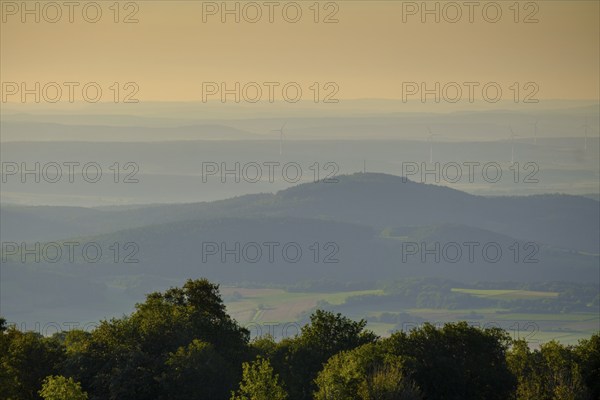 Morning light, morning mood at the juniper heaths, Hochrhönstraße, UNESCO Biosphere Reserve, near