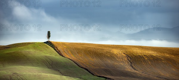 Landscape Panorama Crete Toscana Italy
