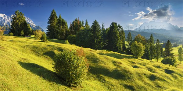 Humpback meadows between Mittenwald and Krün, Werdenfelser Land, Upper Bavaria, Bavaria, Germany,