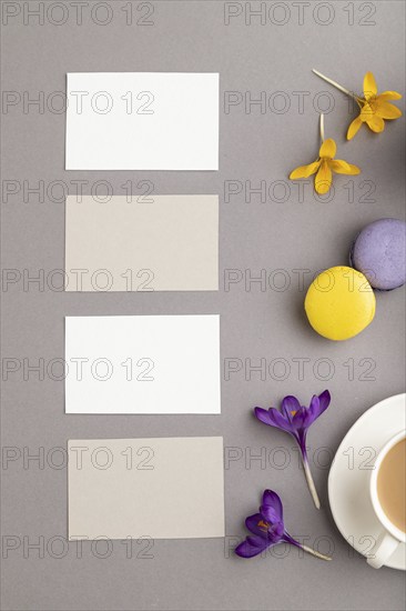 Gray and white business card mockup with spring snowdrop crocus flowers, cup of coffee,