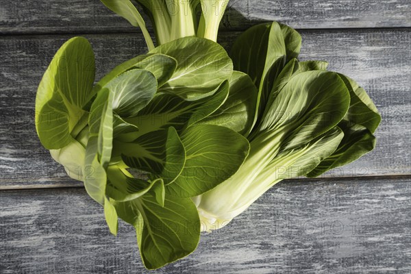 Fresh green bok choy or pac choi chinese cabbage on a gray wooden background. Hard light, contrast.