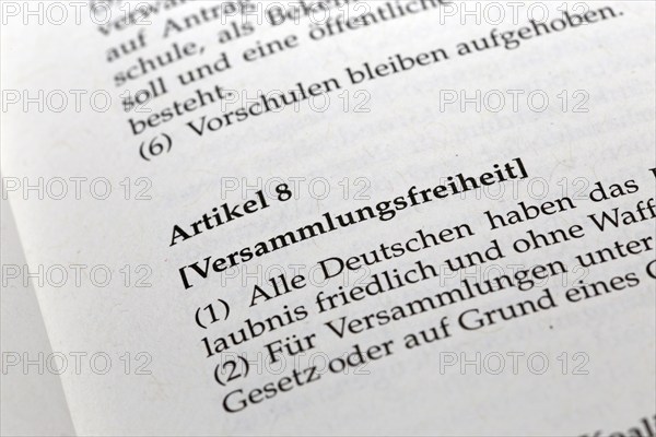 German Basic Law Article 8, Freedom of assembly