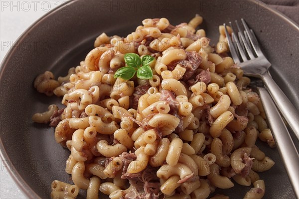 Pasta with stewed meat, pasta in the navy, horns, homemade, no people