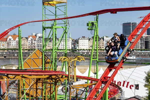 The Rhine Fair in Düsseldorf, in the Rhine meadows in the Oberkassel district, on the Rhine, Wild
