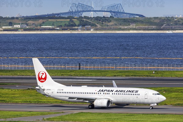 A Boeing 737-800 aircraft of Japan Airlines JAL with the registration JA308J at Tokyo Haneda