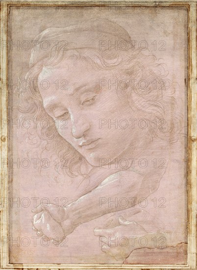 Head of a Youth Wearing a Cap, a Right Forearm with the Hand Clutching a Stone, and a Left Hand