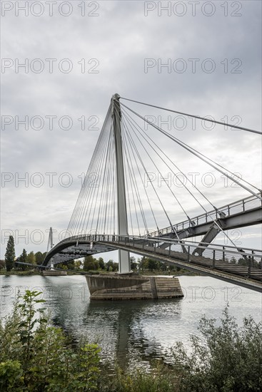 Bridge over the Rhine, cable-stayed bridge Passerelle des Deux Rives, Kehl, Ortenau,