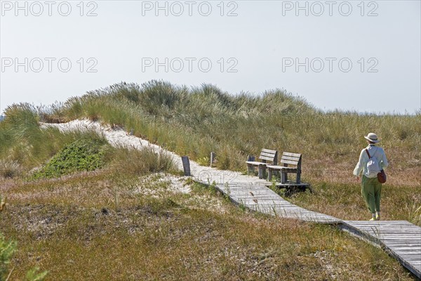 Wooden footbridge, benches, dunes, elderly woman, circular hiking trail, nature reserve, Darßer