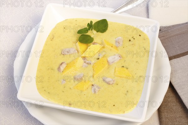 Swabian cuisine, brain soup with egg garnish, offal, calf's brain, regional, soup served in a bowl,