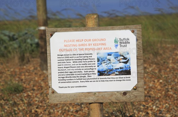 Suffolk Wildlife Trust sign about roped off nesting sites for birds, Shingle Street, Suffolk,