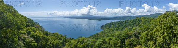 South Pacific and rainforest, Osa Peninsula, Punterenas Province, Costa Rica, Central America