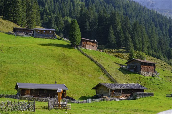 Helgas Alm, Valser Tal, Valser Tal Natura 2000 nature reserve, Wipptal, Tyrol, Austria, Europe