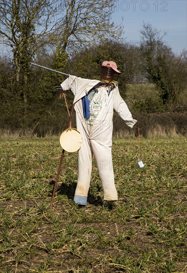 Scarecrow standing in field, Lindsey, Suffolk, England, UK