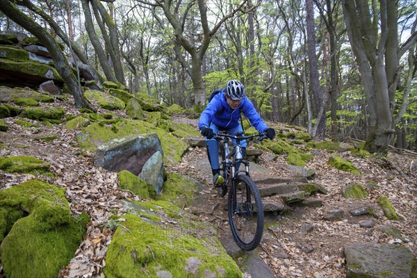Mountain bikers on a bumpy trail on difficulty scale S 2 in the Palatinate Forest