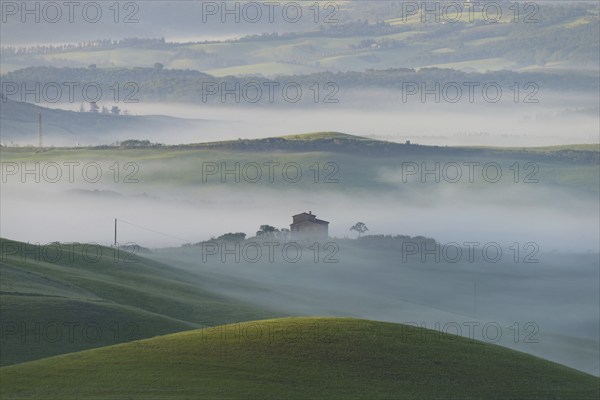 Landscape at sunrise around Volterra, Province of Pisa, Tuscany, Italy, Europe