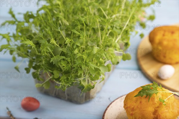 Homemade cakes with chocolate eggs and mizuna cabbage microgreen on a blue wooden background. side
