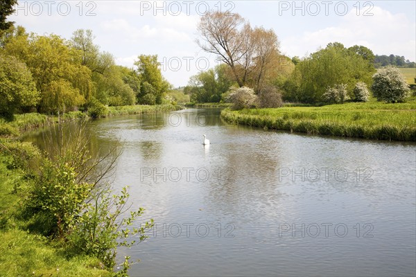 River Avon chalk river at Middle Woodford, Woodford Valley, near Salisbury, Wiltshire, England,