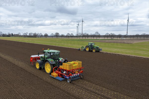 Lettuce plants are planted with a planting machine, tractor with roundabout harrow prepares the