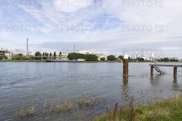 BASF, Lugwigshafen am Rhein, industrial area, bollard, jetty, Mannheim, Baden-Württemberg, Germany,