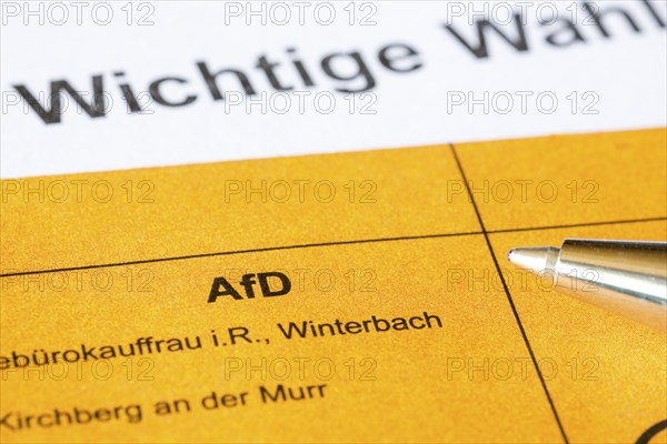 Ballot paper, ballot paper, election matter, AFD, regional election, district council election,