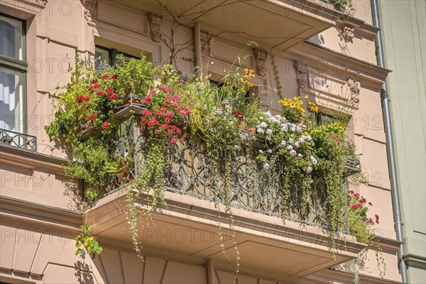 Green balcony, old building, Kopischstraße, Kreuzberg, Berlin, Germany, Europe