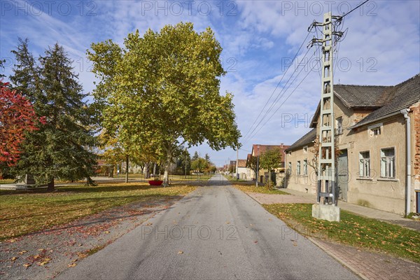 Trees and houses along the village road, Möglenz district, Bad Liebenwerda, Elbe-Elster district,