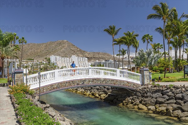 Park in Anfi del Mar, Playa de la Verga, Arguineguin, Gran Canaria, Canary Islands, Spain, Anfi del