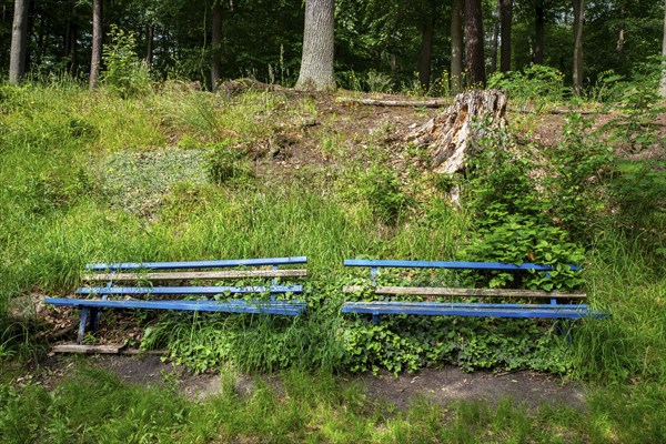 Landscape at Hellsee in Lanke, Bernau, Brandenburg, Germany, Europe