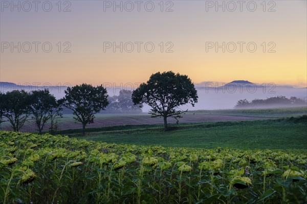 Morning fog over the Werra valley, from the Schlierbachsattel, Oberdünzenbach near Eschwege,