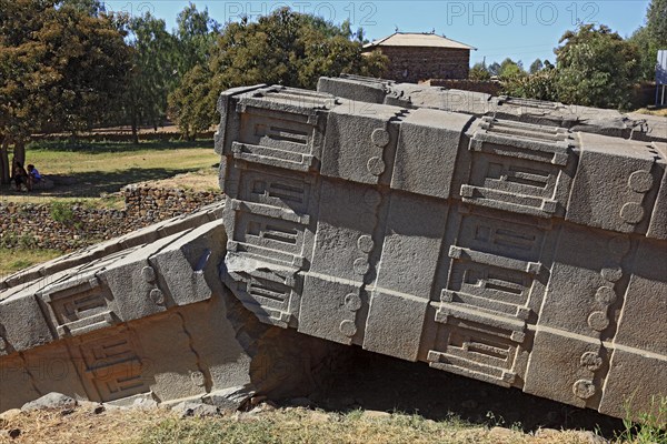 Tigray region, in the stelae park of Axum, Aksum, ancient cemetery of the Axumite kings, broken