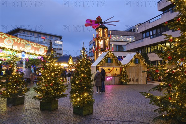 Stalls, Christmas trees and Christmas pyramid at the Christmas market at Neumarkt, Blue Hour,