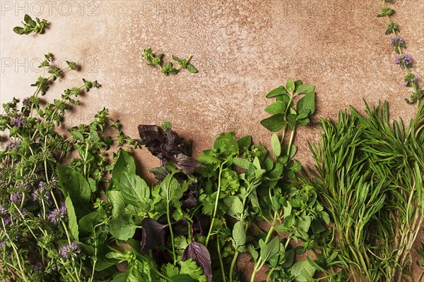 Assortment of herbs, spices, top view, set, basil, tarragon, ombalo, rosemary, food background,