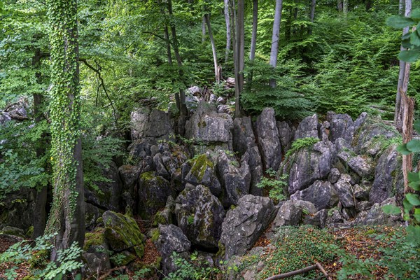 The Felsenmeer in Hemer, Sauerland, geotope, with rugged rock formations, nature reserve, North
