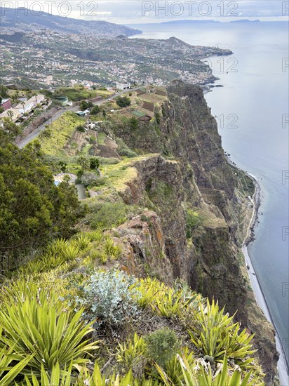 View of Funchal, Madeira, Portugal from the Cabo Girão Skywalk