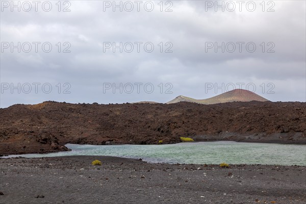 Water pool at Playa de Montaña Bermeja, volcanic landscape, Lanzarote, Canary Island, Spain, Europe