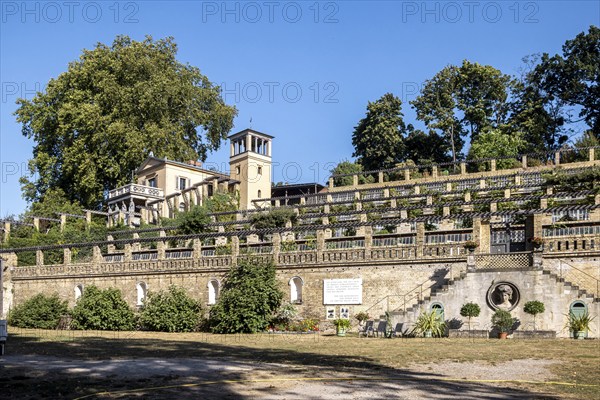 Winzerberg in Potsdam, Prussian Palaces and Gardens Foundation Berlin-Brandenburg. Part of the