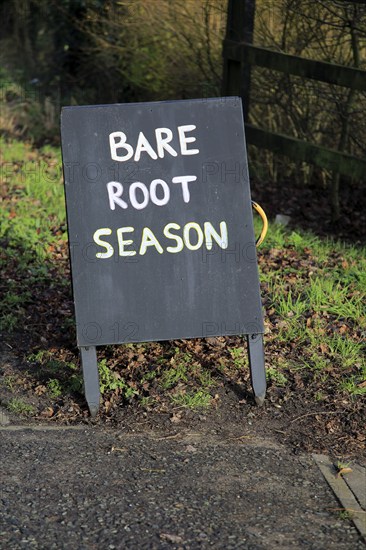 Sign at tree nursery for Bare Root Season, Crown Nursery, Ufford, Suffolk, England, UK