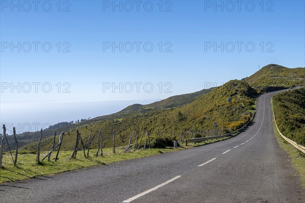 Road on the Paul da Serra plateau, Madeira, Portugal, Europe