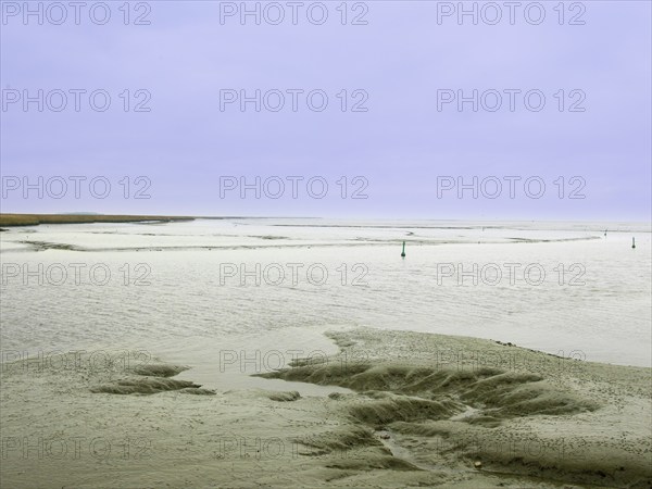 Low tide, mudflats, Dollart, Nieuwe Statenzijl, Netherlands