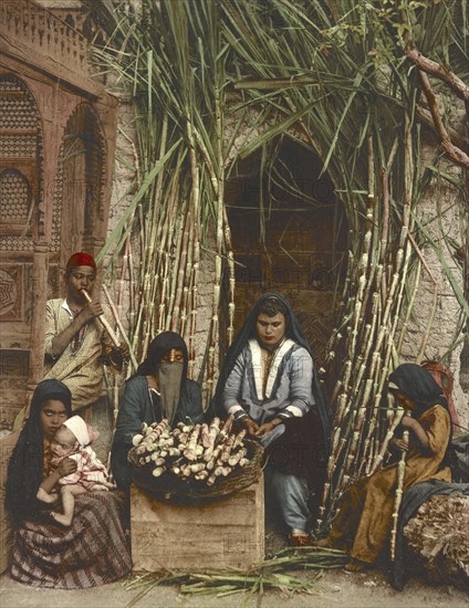 Cairo. Sugarcane sellers, Egypt, digitally restored reproduction from a 19th century original,