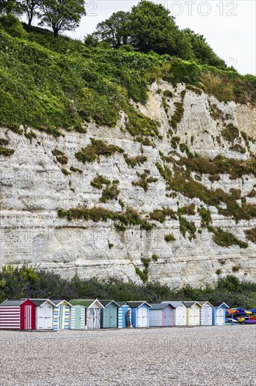 White Cliff, Jurassic Coast, Beer Village, Seaton, Devon, England, United Kingdom, Europe