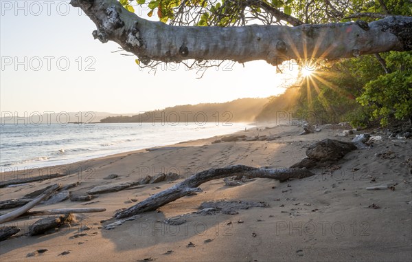 Sandy beach beach and sea at sunset, sun star, Playa Cocalito, coastal landscape, Pacific coast,