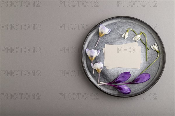 Gray paper invitation card, mockup with crocus and galanthus flowers on ceramic plate and gray