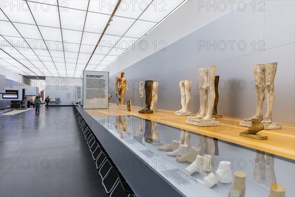 Founded in 1912, the Deutsches Hygiene-Museum is a museum in Dresden. It sees itself as a public