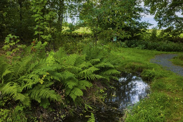 Mine water drainage at Drei Fürsten Stolln, Halsbrücke, Halsbrücke, Saxony, Germany, Europe